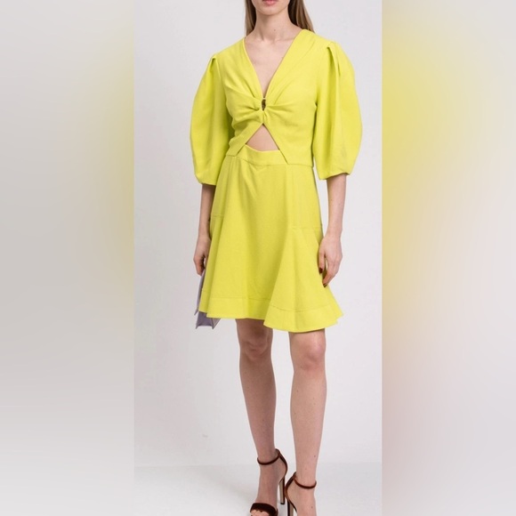 Jonathan Simkhai Kayleigh Ripple Crepe Mini Dress in Lime Size 10 NWT - Picture 3 of 8